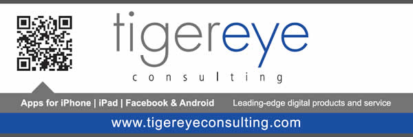 TigerEye Consulting
